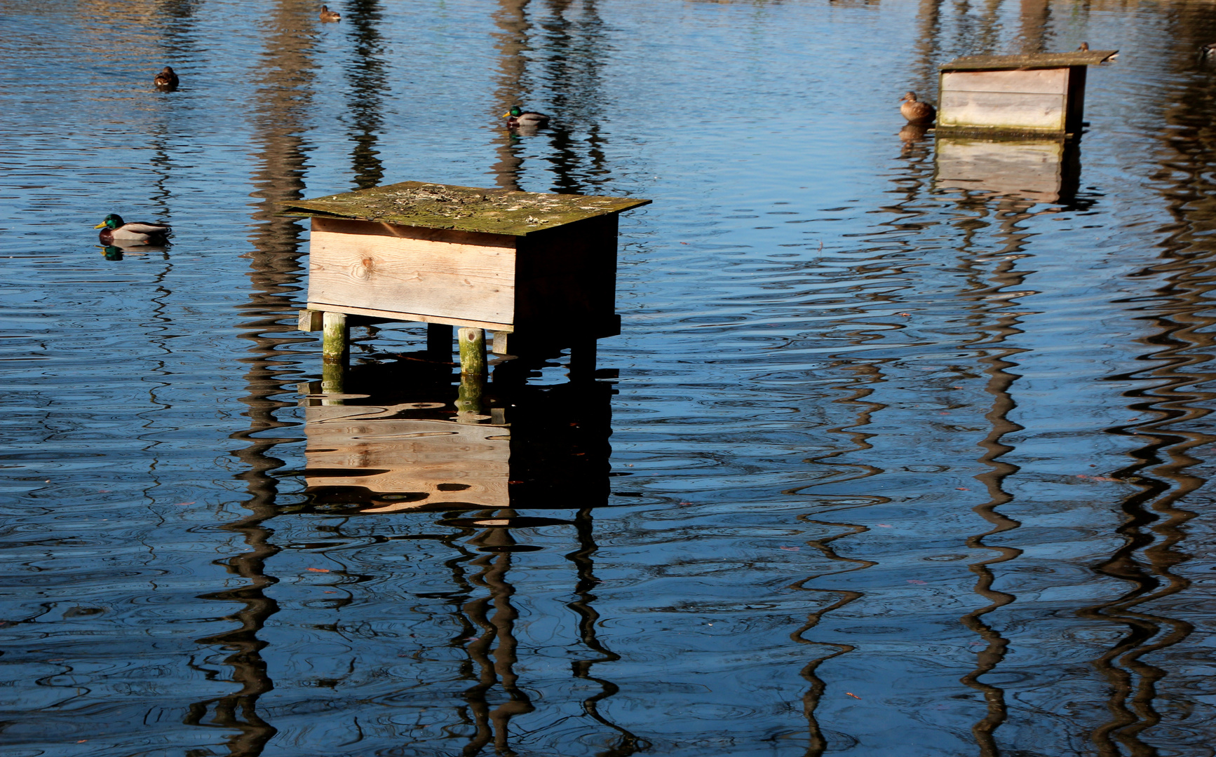 Dienstag ist Spiegeltag