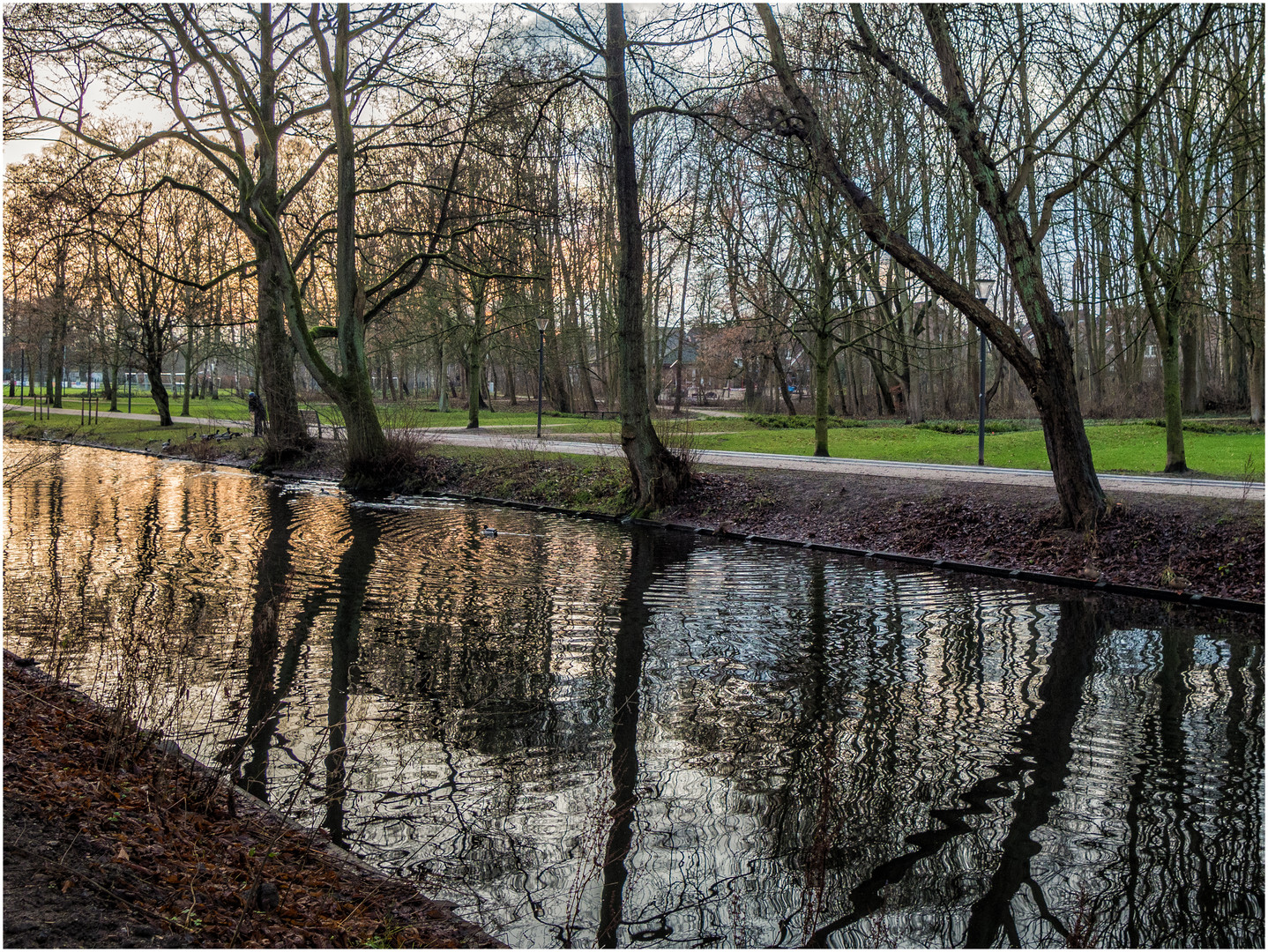 Dienstag ist Spiegeltag