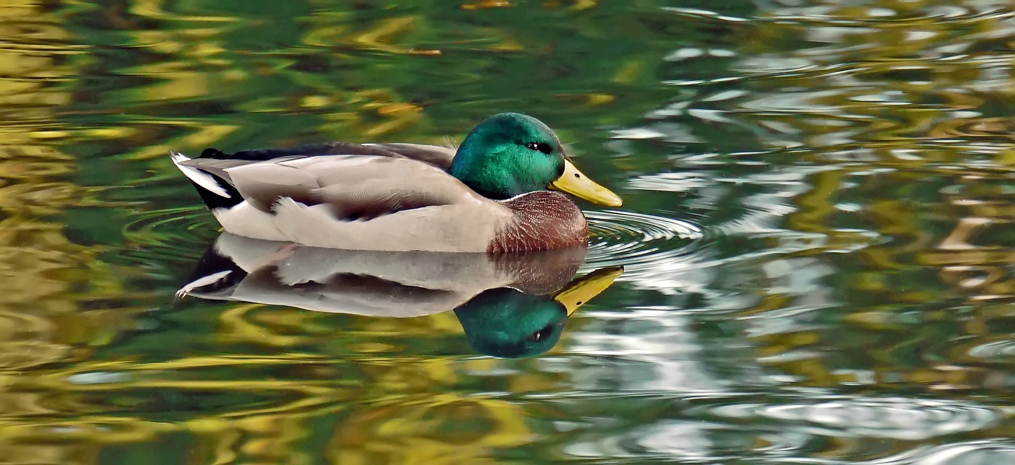 Dienstag ist Spiegeltag