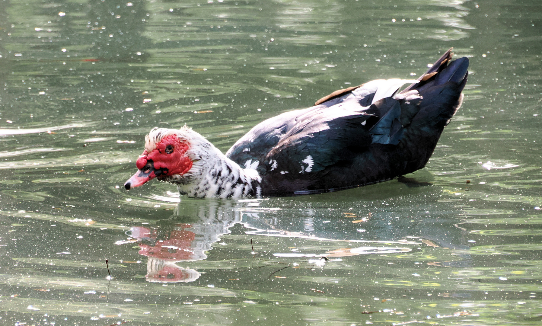 Dienstag ist Spiegeltag 