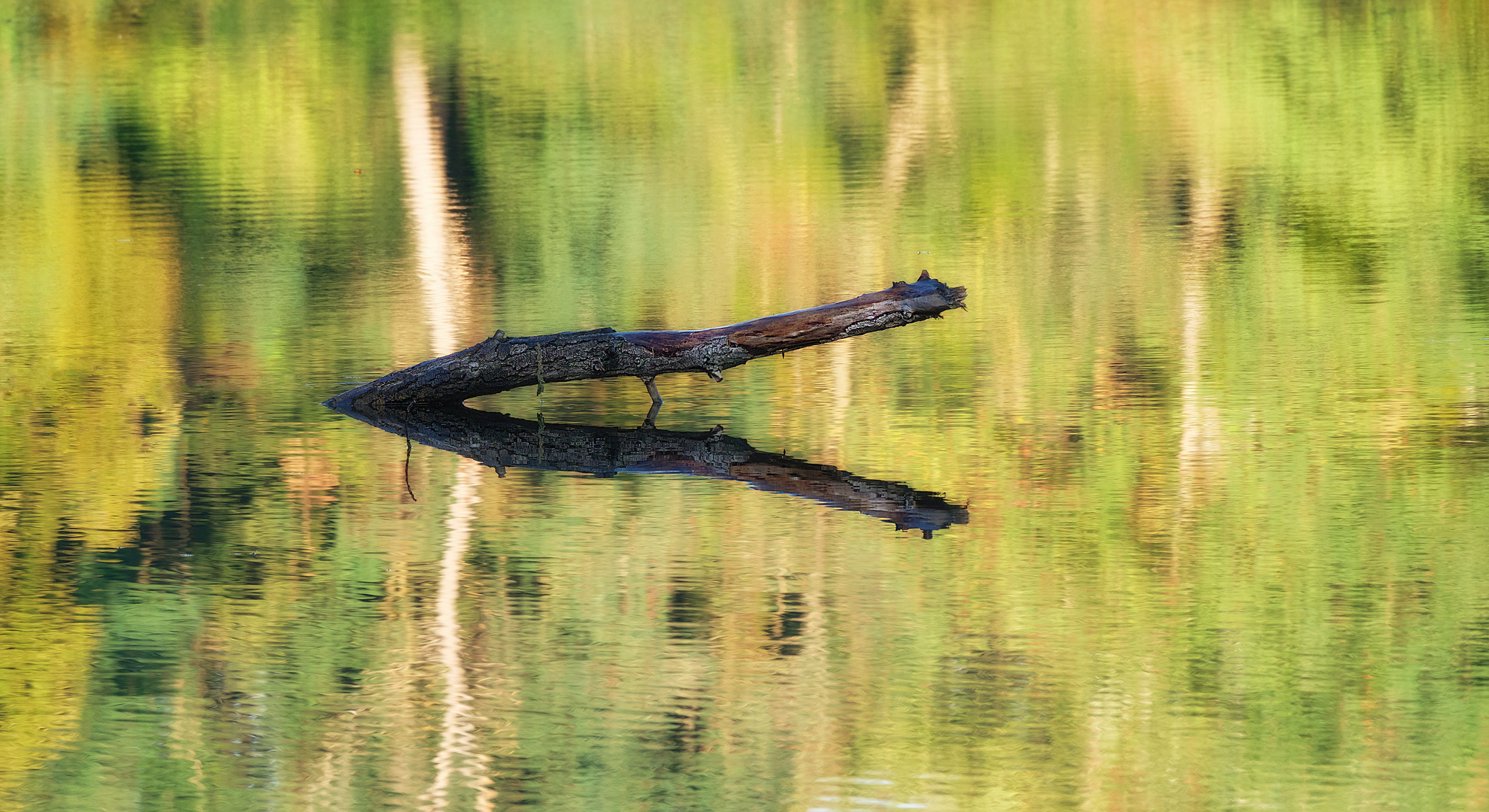 Dienstag ist Spiegeltag