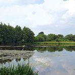 Dienstag ist Spiegeltag