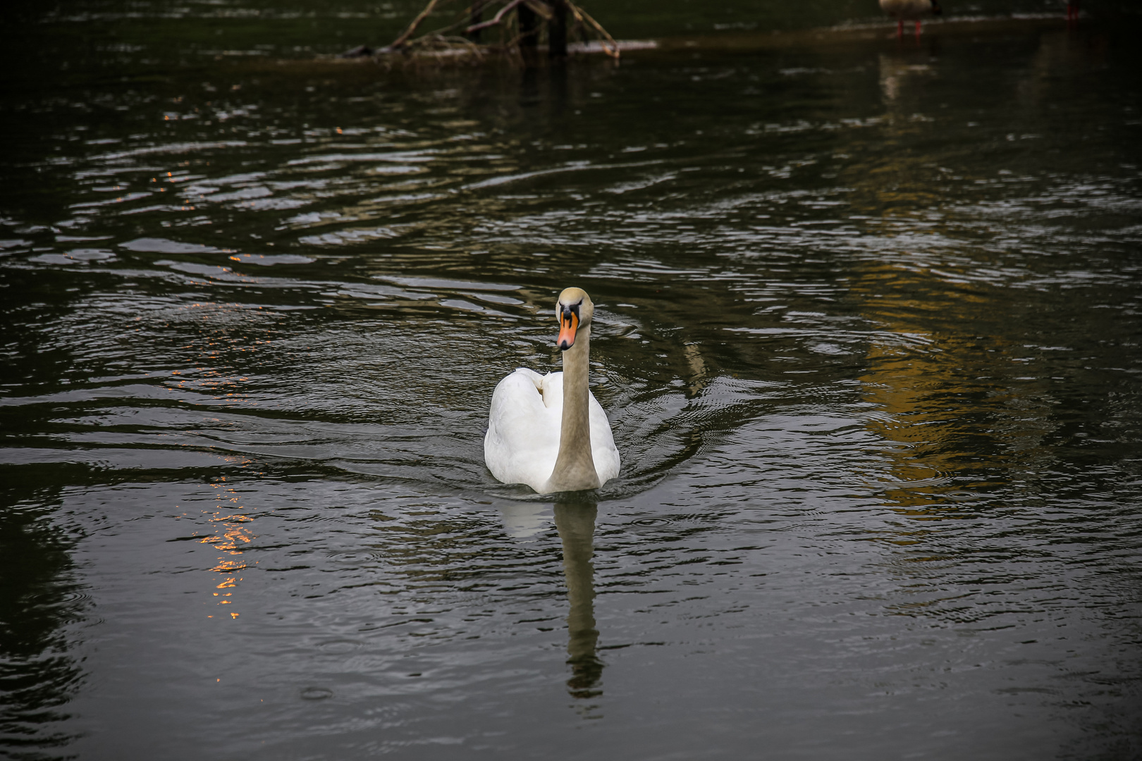 Dienstag ist Spiegeltag....