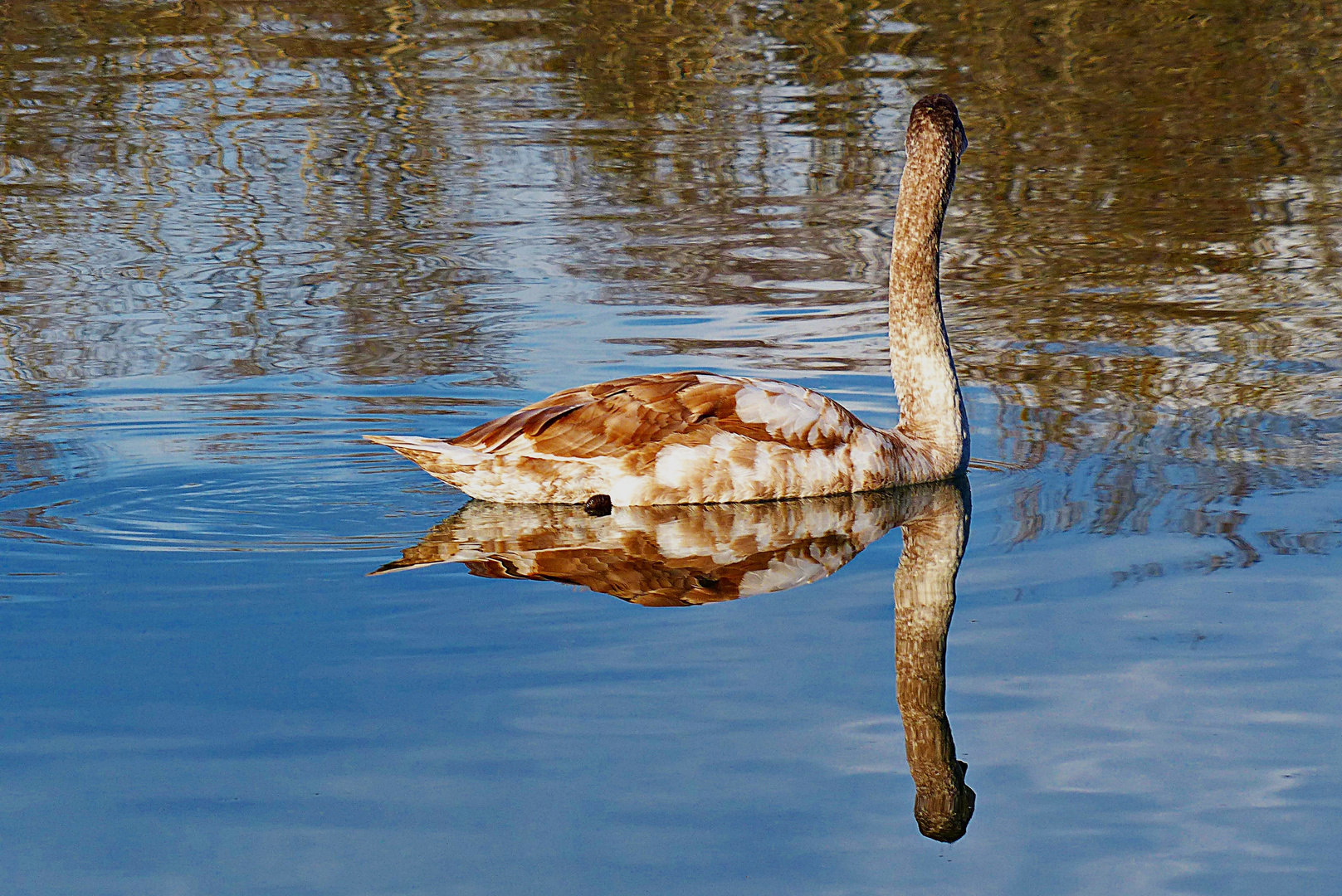 Dienstag ist Spiegeltag