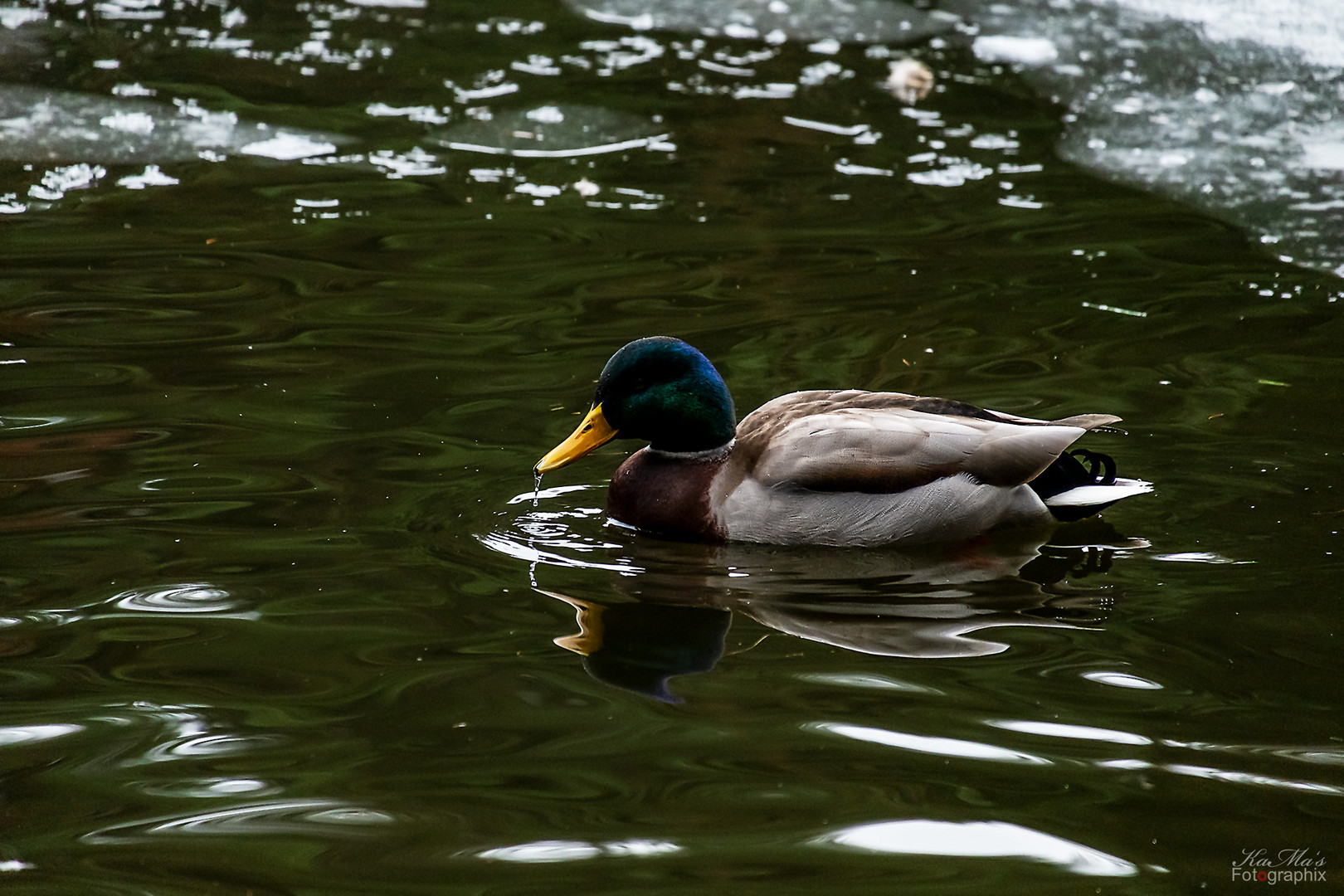 Dienstag ist Spiegeltag