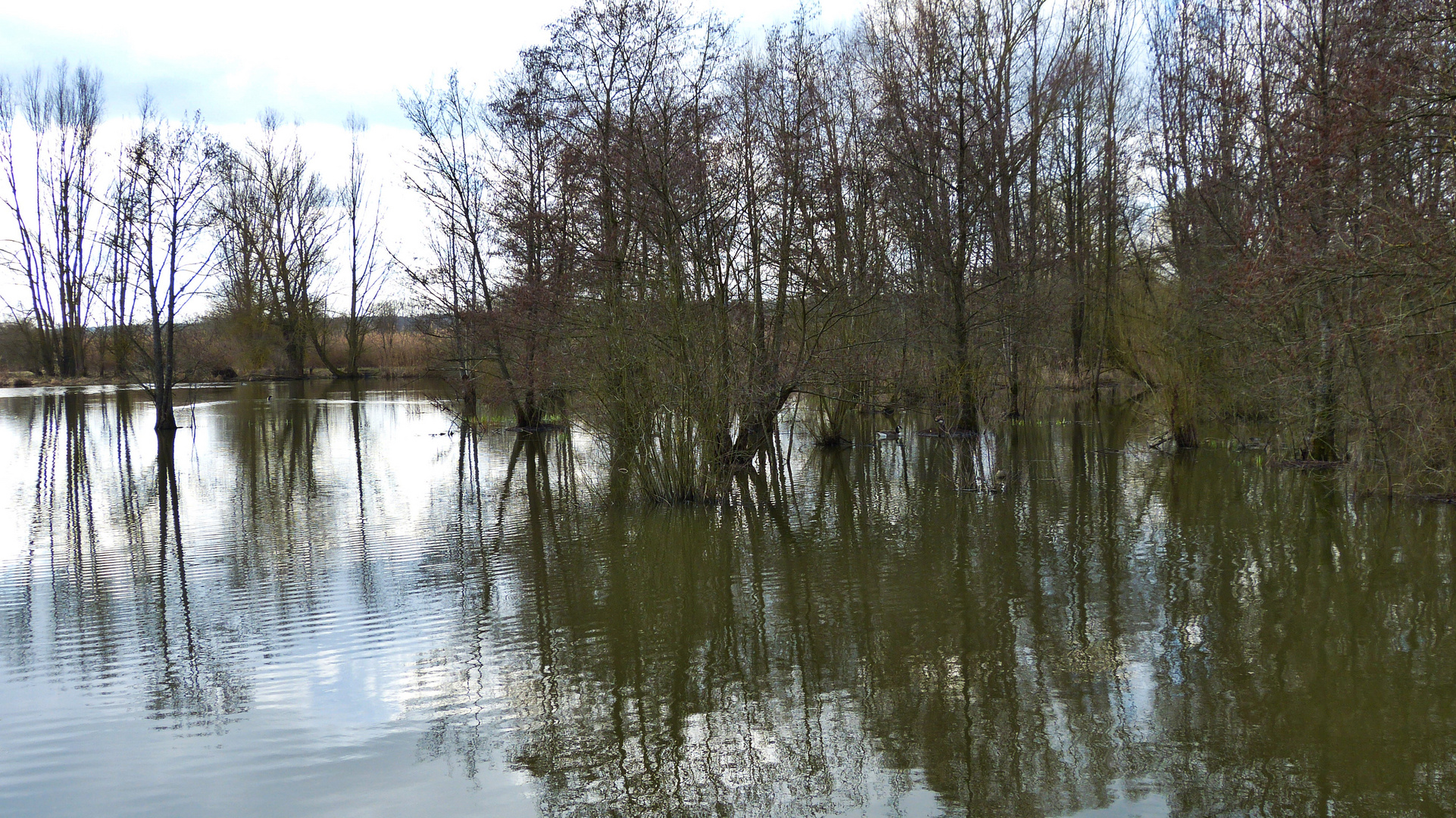 Dienstag ist Spiegeltag  