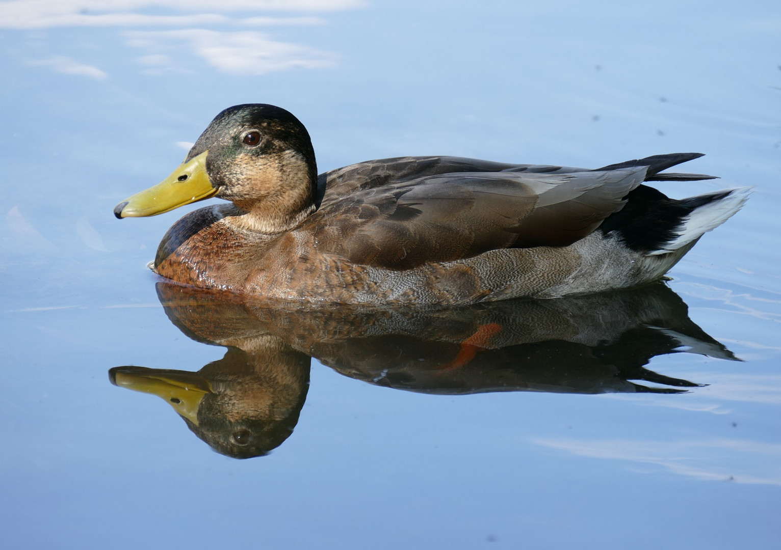 Dienstag ist Spiegeltag