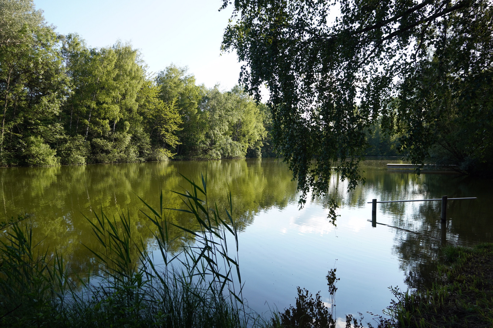 Dienstag ist Spiegeltag (9)