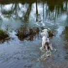 Dienstag ist Spiegeltag !