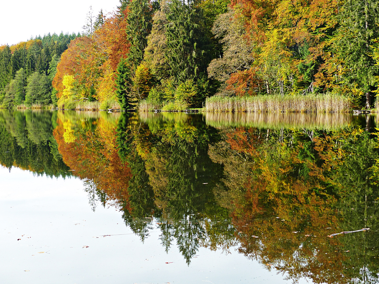 Dienstag ist Spiegeltag