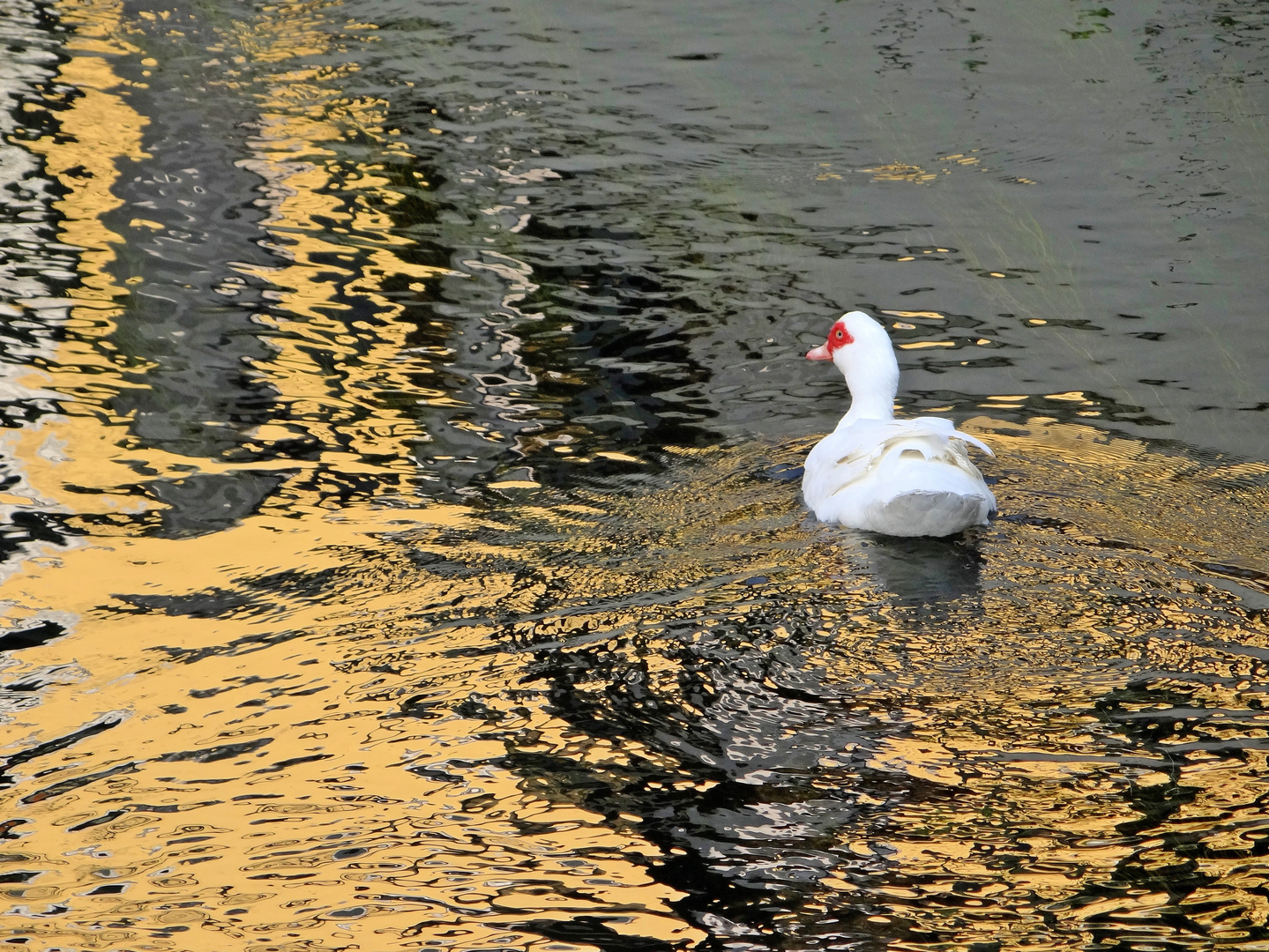 Dienstag ist Spiegeltag