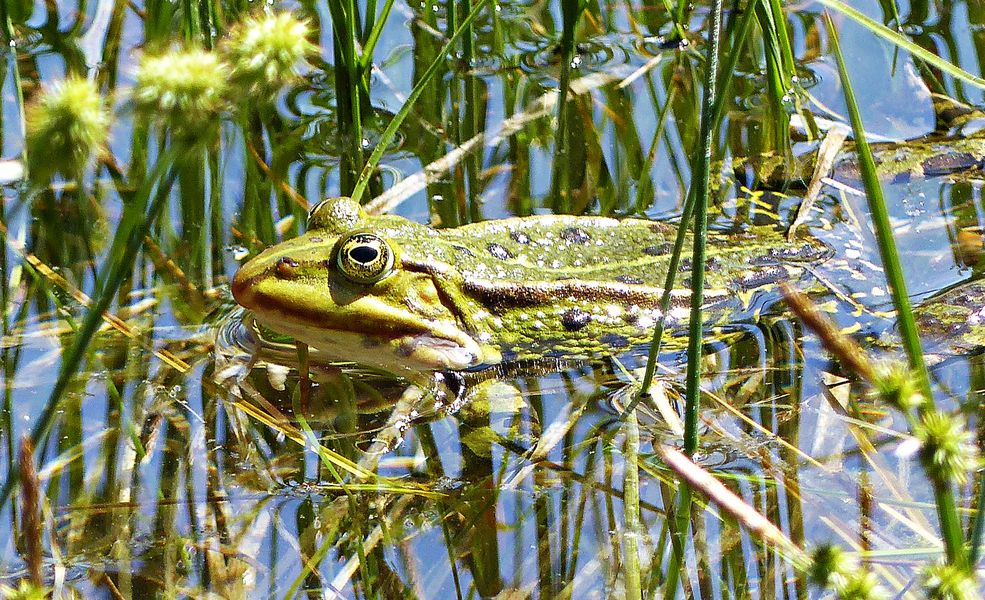 Dienstag ist Spiegeltag