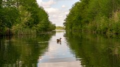 Dienstag ist Spiegeltag