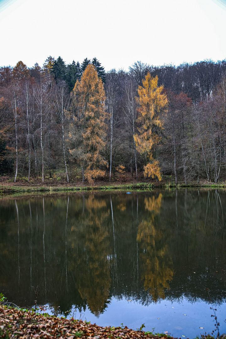 Dienstag ist Spiegeltag...