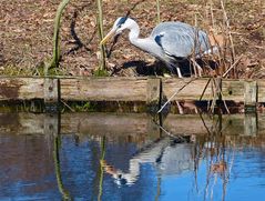 Dienstag ist Spiegeltag