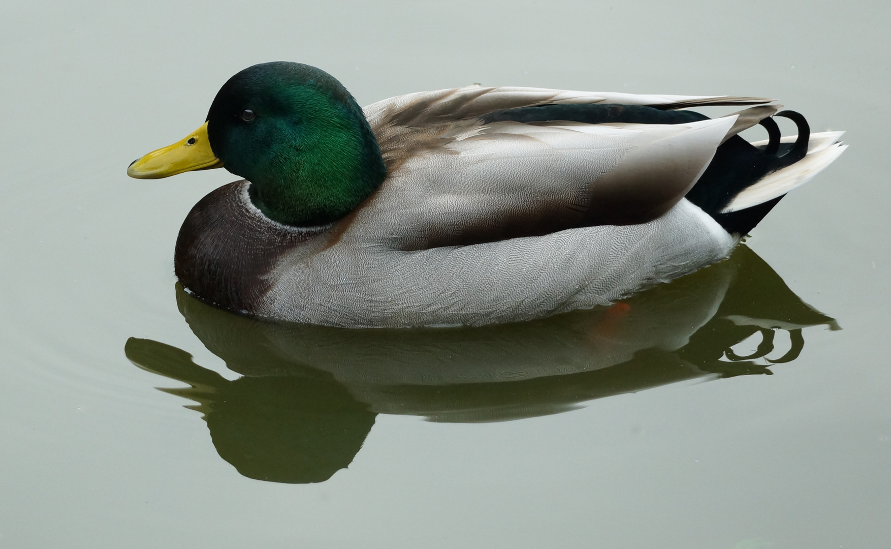 Dienstag ist Spiegeltag