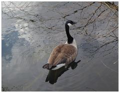 Dienstag ist Spiegeltag am 26.04.22