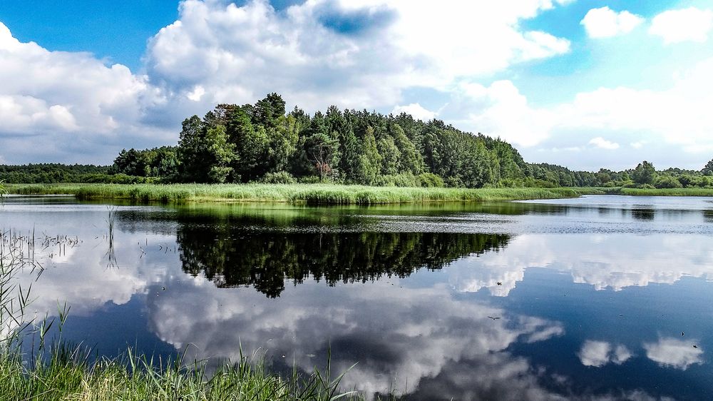 Dienstag ist Spiegeltag : Am Heidschnuckenweg 