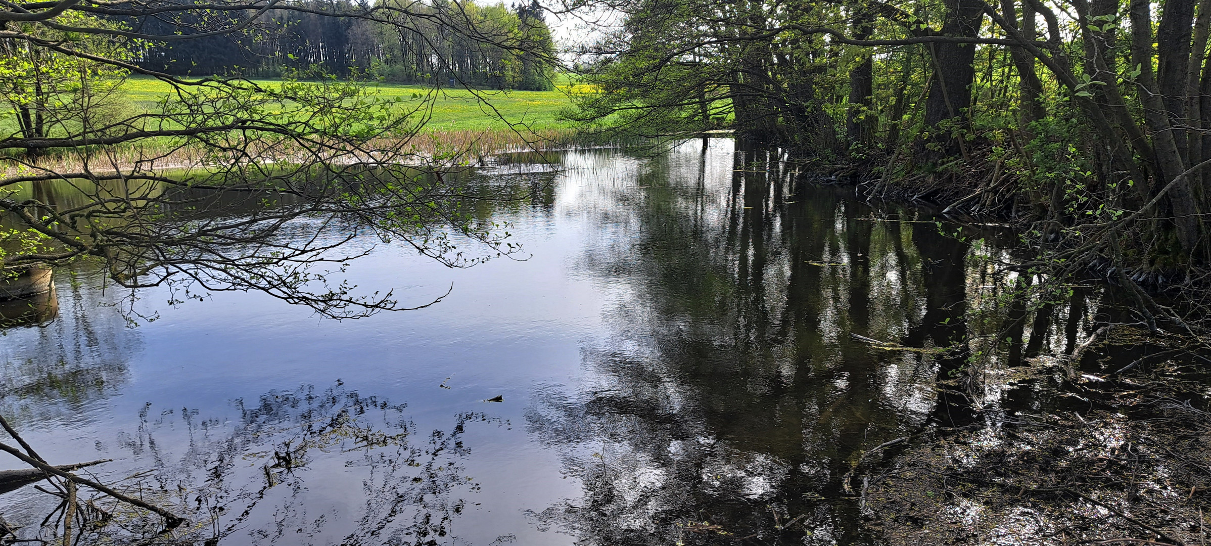 Dienstag ist Spiegeltag am Lernschwimmteich