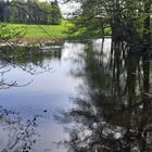 Dienstag ist Spiegeltag am Lernschwimmteich