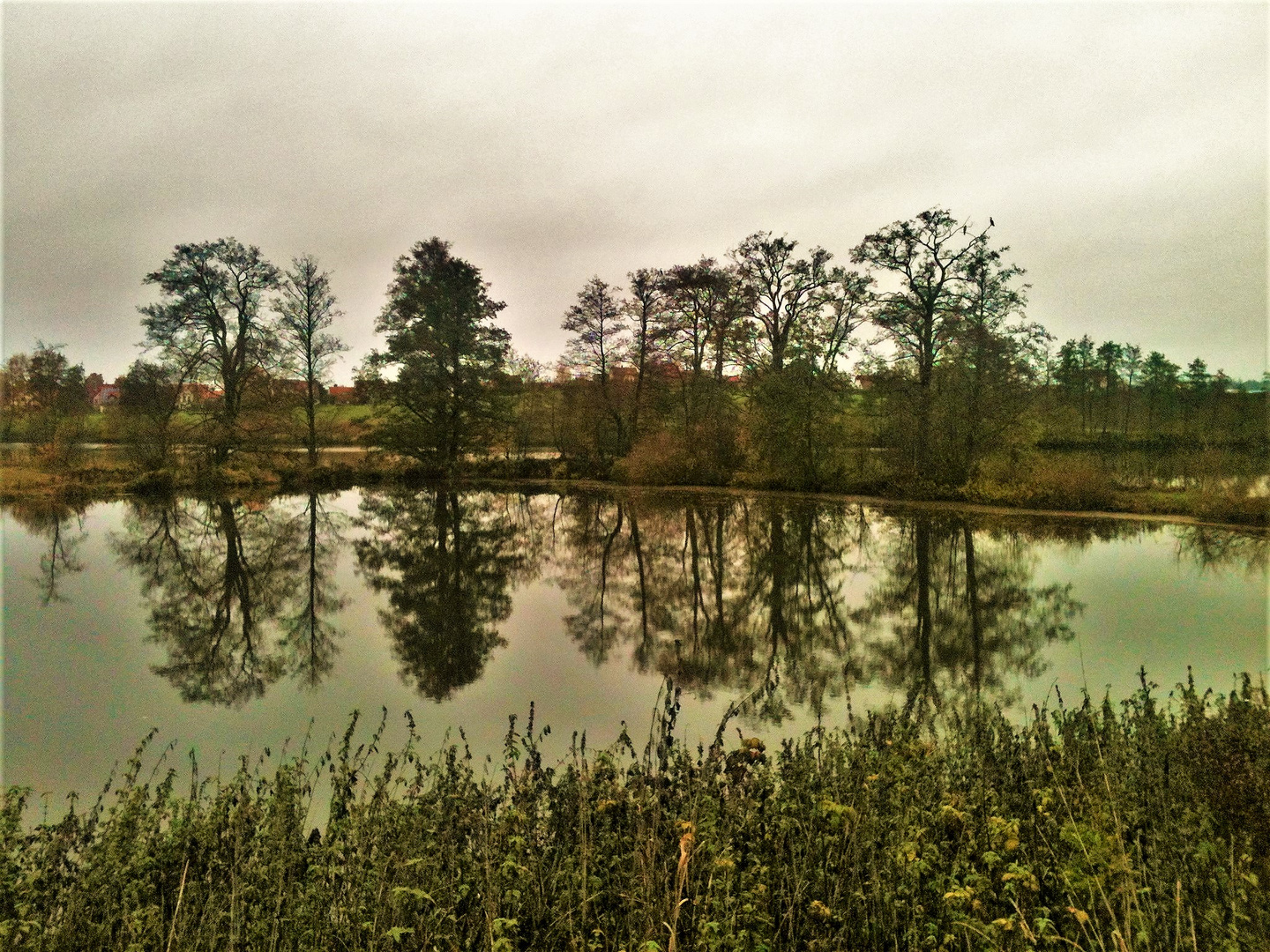 Dienstag ist Spiegeltag . ARCHIV  Walkweiher Dinkelsbühl