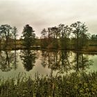 Dienstag ist Spiegeltag . ARCHIV  Walkweiher Dinkelsbühl