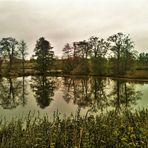 Dienstag ist Spiegeltag . ARCHIV  Walkweiher Dinkelsbühl