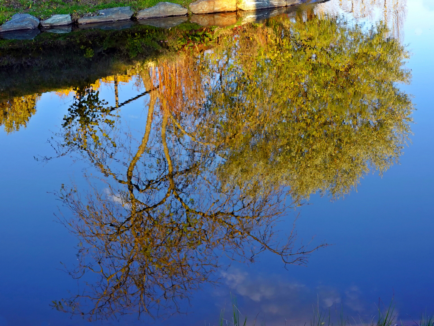 Dienstag ist Spiegeltag