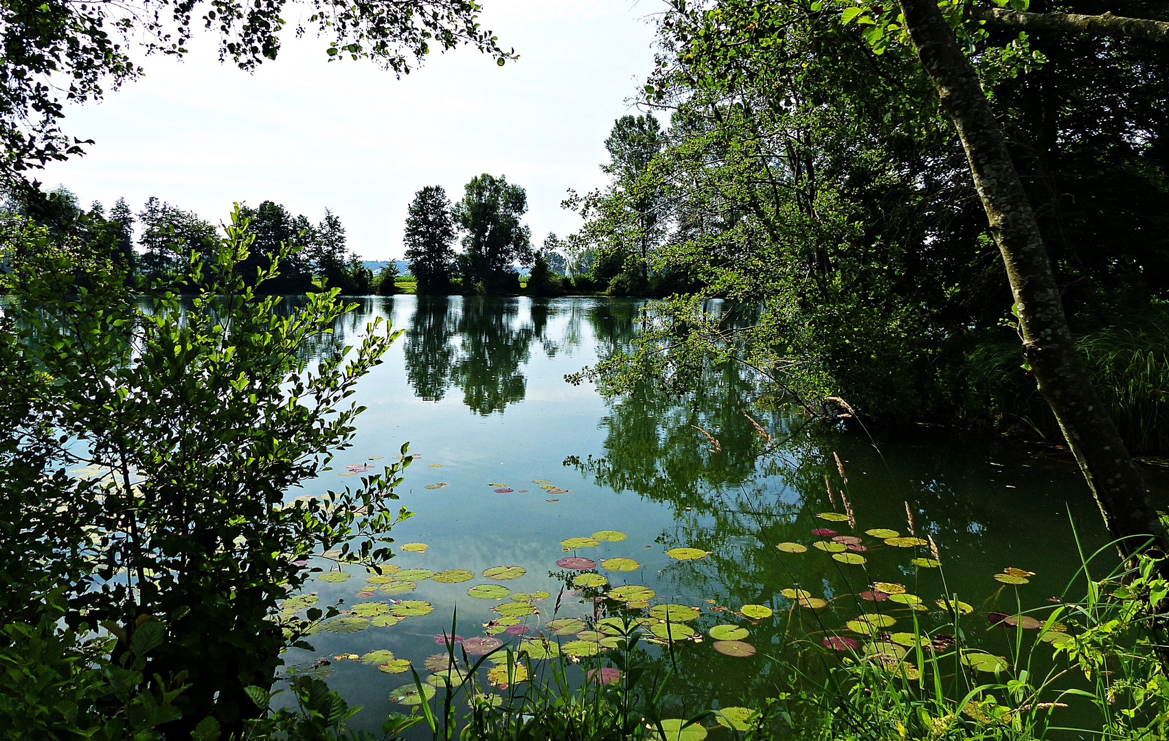 Dienstag ist Spiegeltag