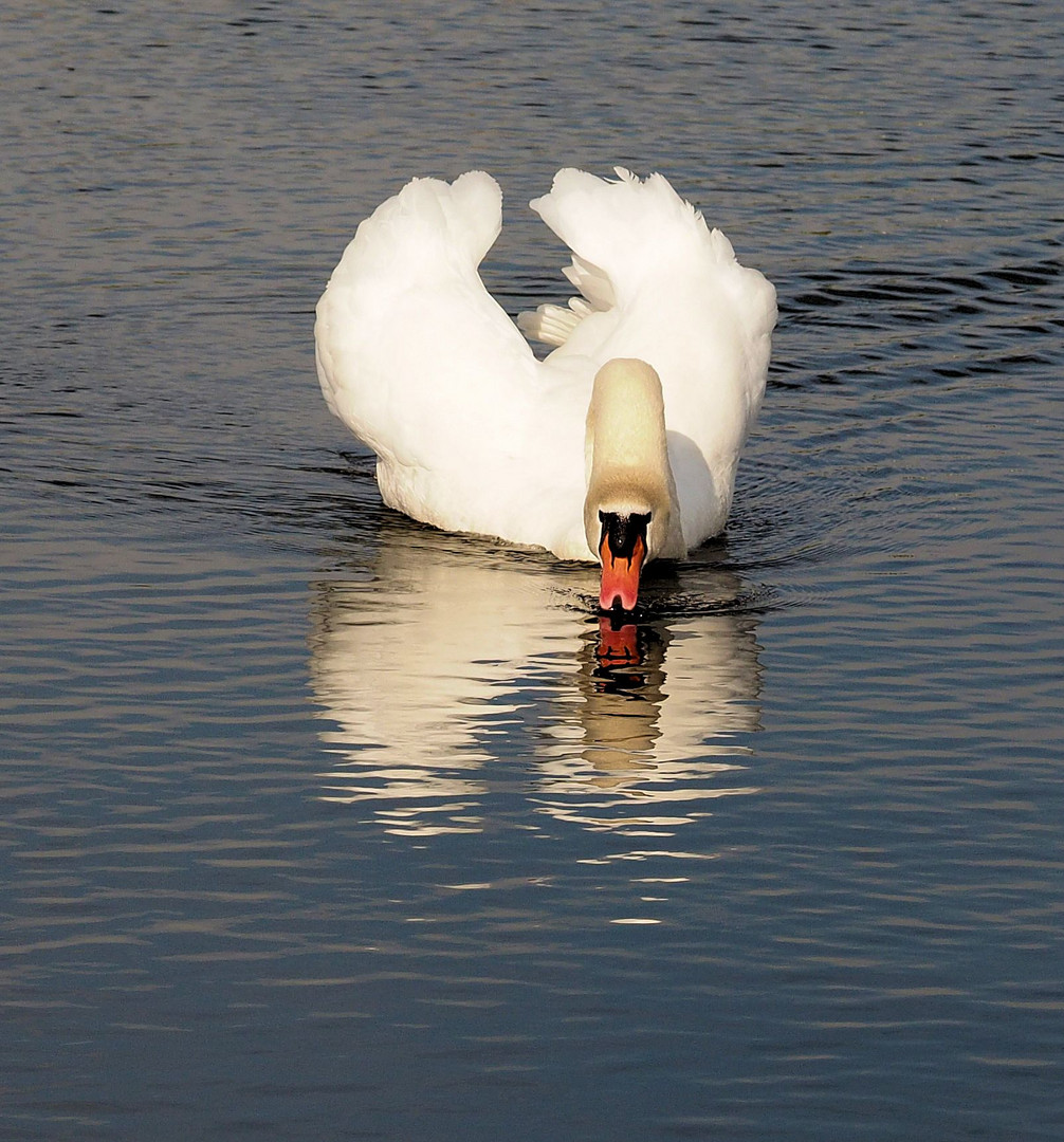 Dienstag ist Spiegeltag...