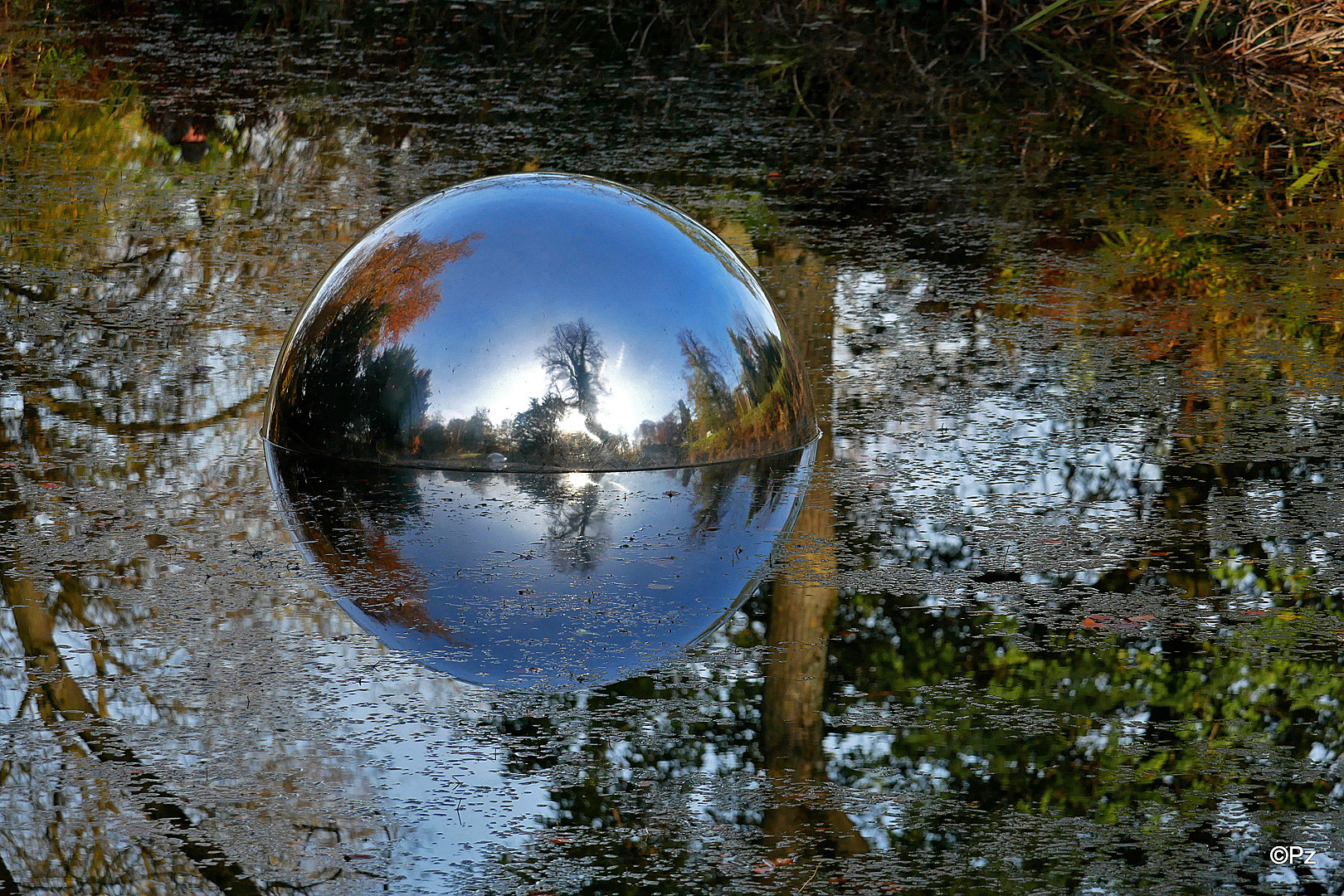 Dienstag ist Spiegeltag: "Bubble(s)" im Herbst ...