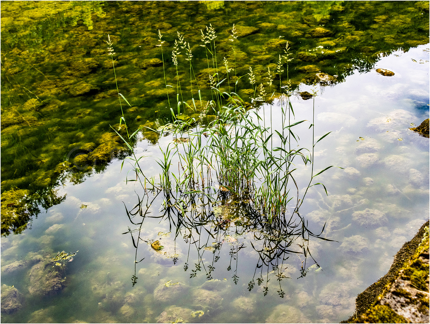 Dienstag ist Spiegeltag