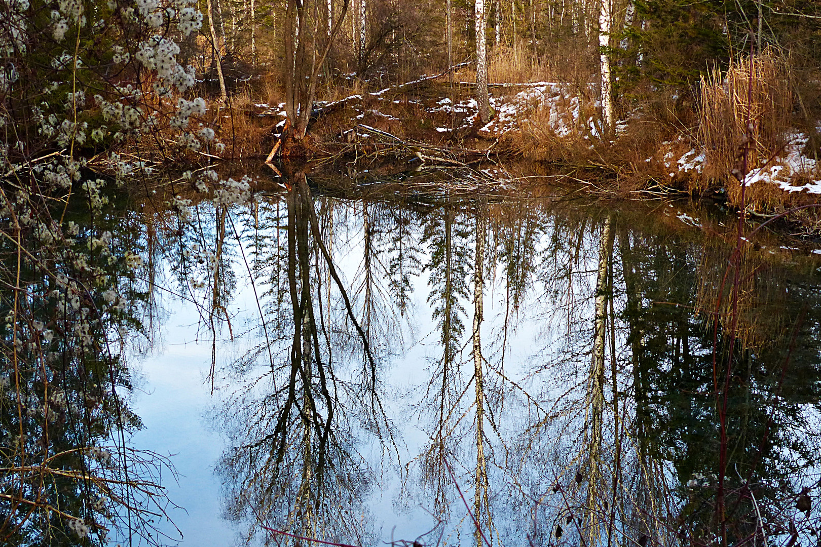 Dienstag ist Spiegeltag