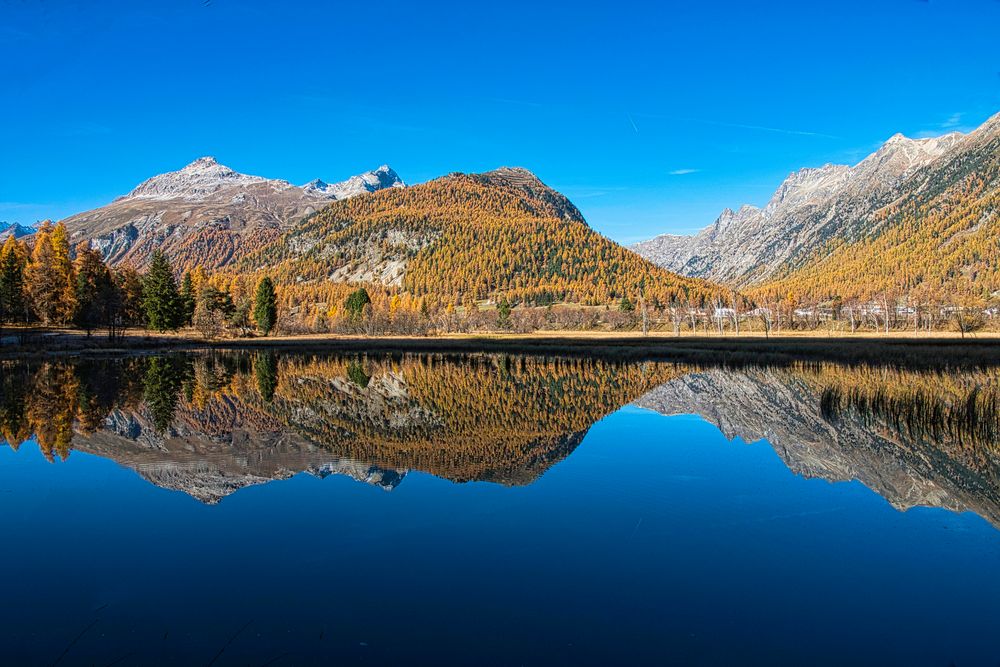 Dienstag ist Spiegeltag