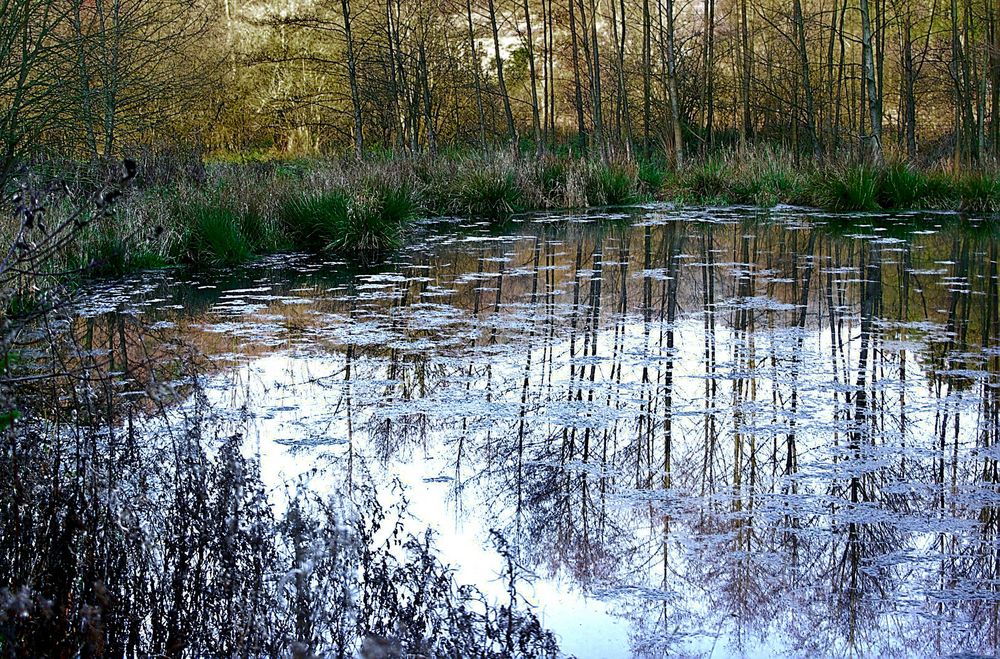 Dienstag ist Spiegeltag