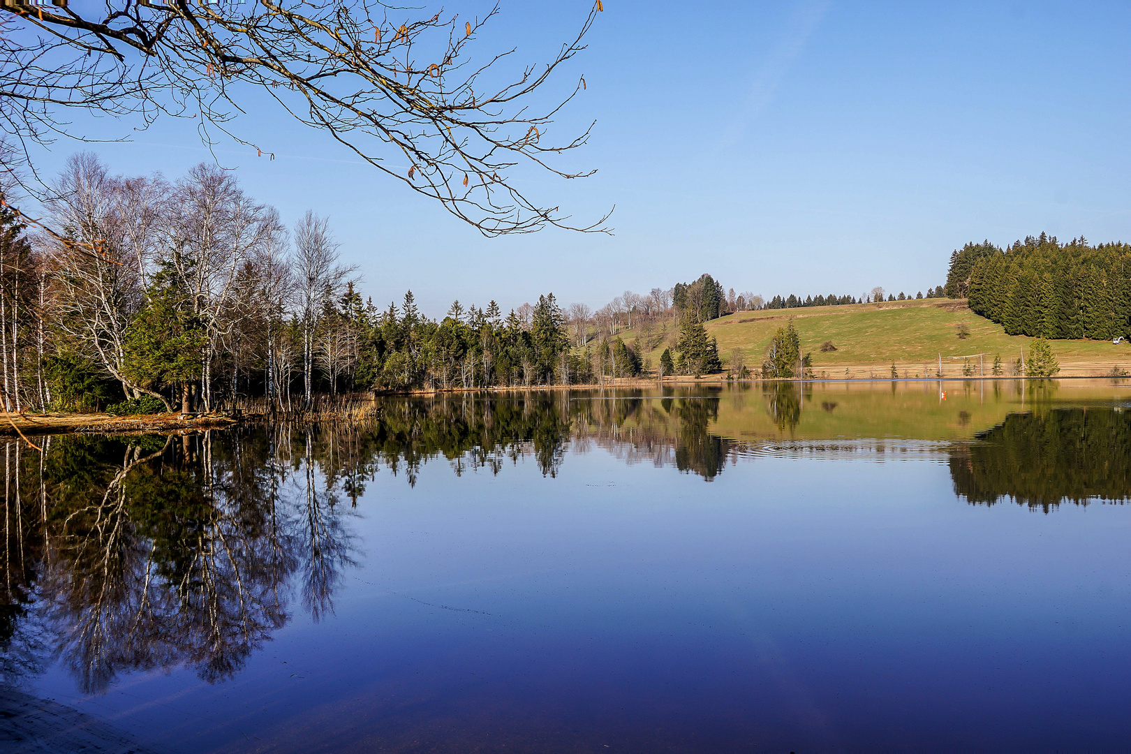 Dienstag ist Spiegeltag