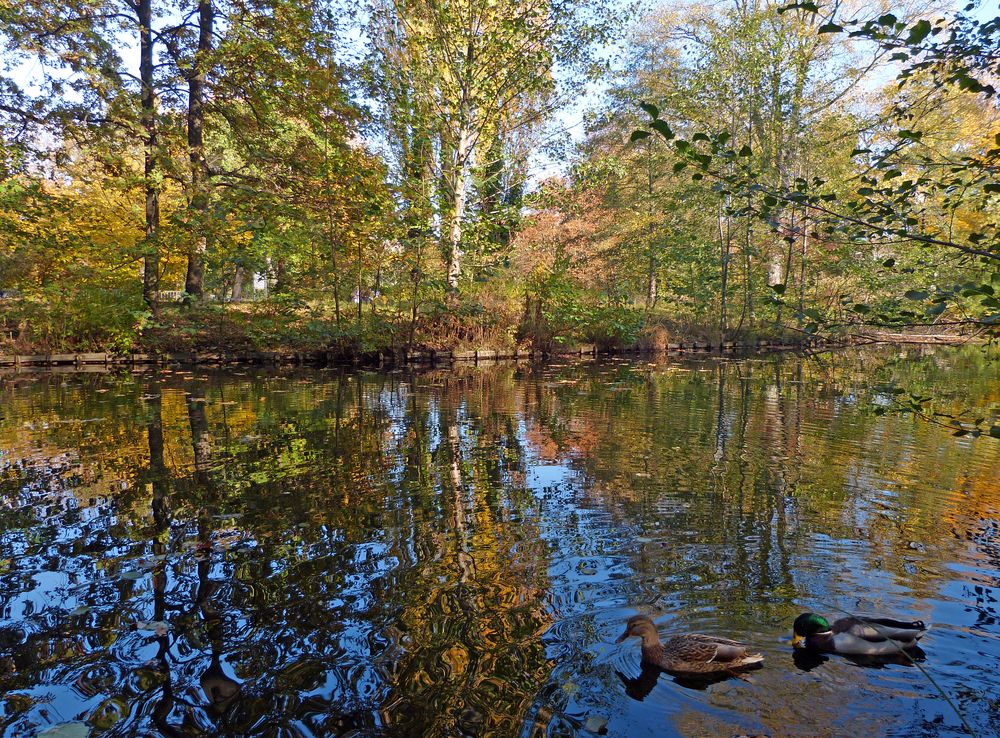 Dienstag ist Spiegeltag