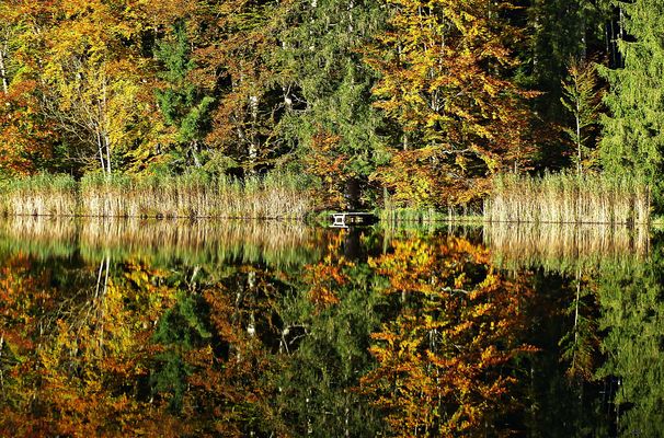 Dienstag ist Spiegeltag