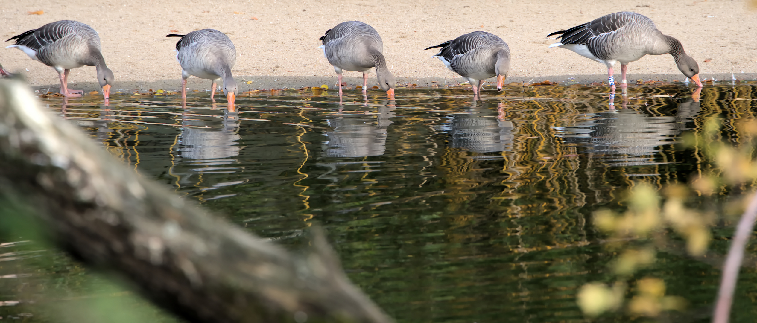 Dienstag ist Spiegeltag