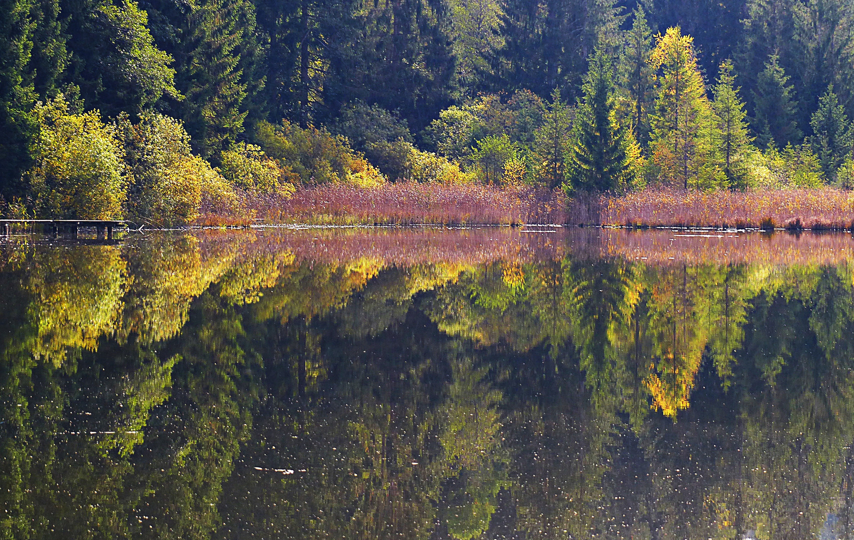 Dienstag ist Spiegeltag