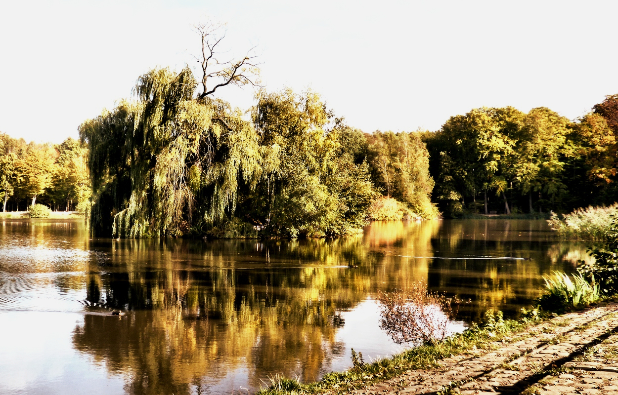 Dienstag ist Spiegeltag