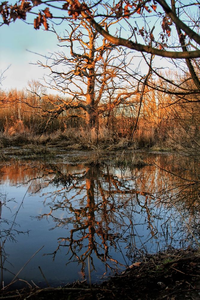 Dienstag ist Spiegeltag