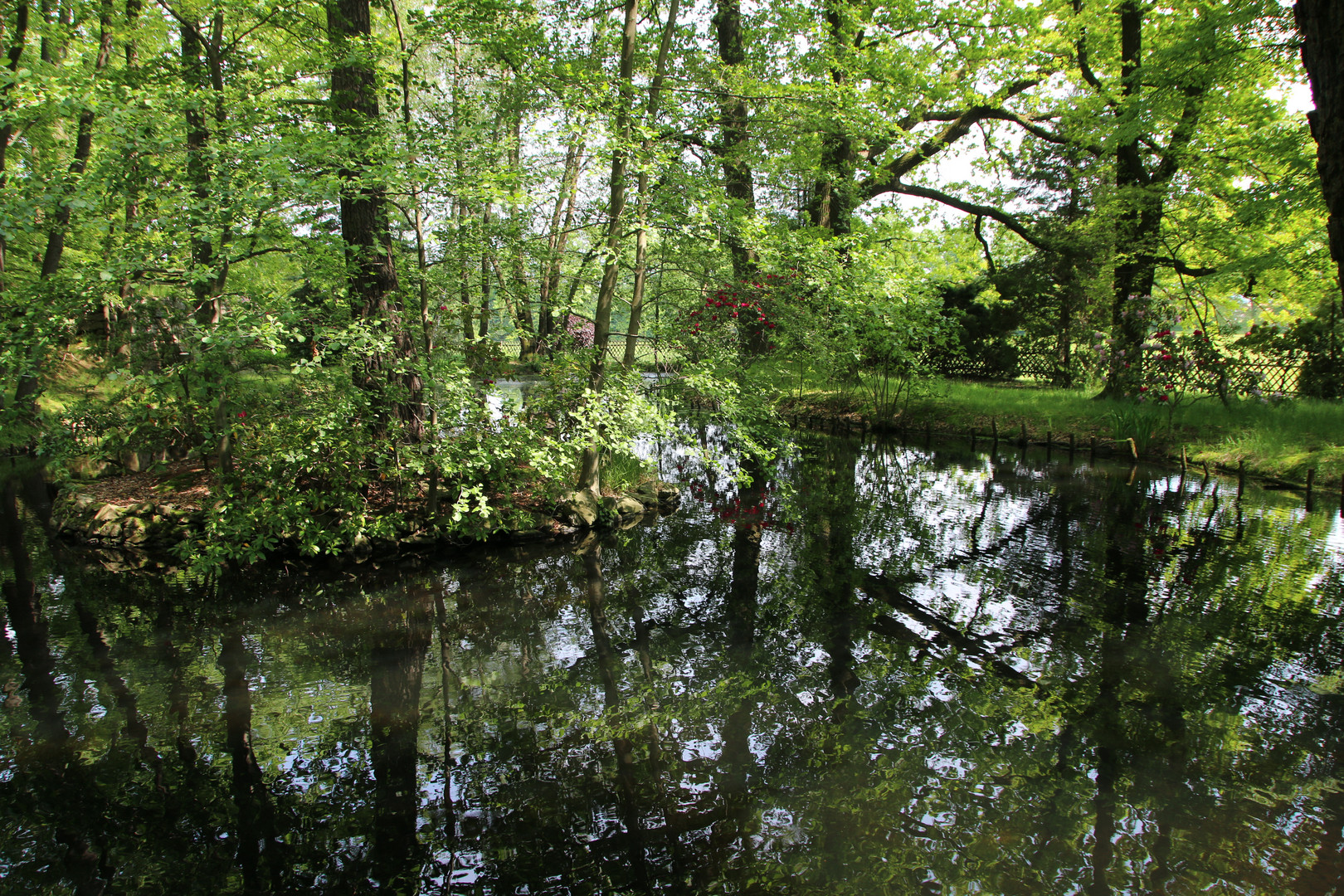 Dienstag ist Spiegeltag