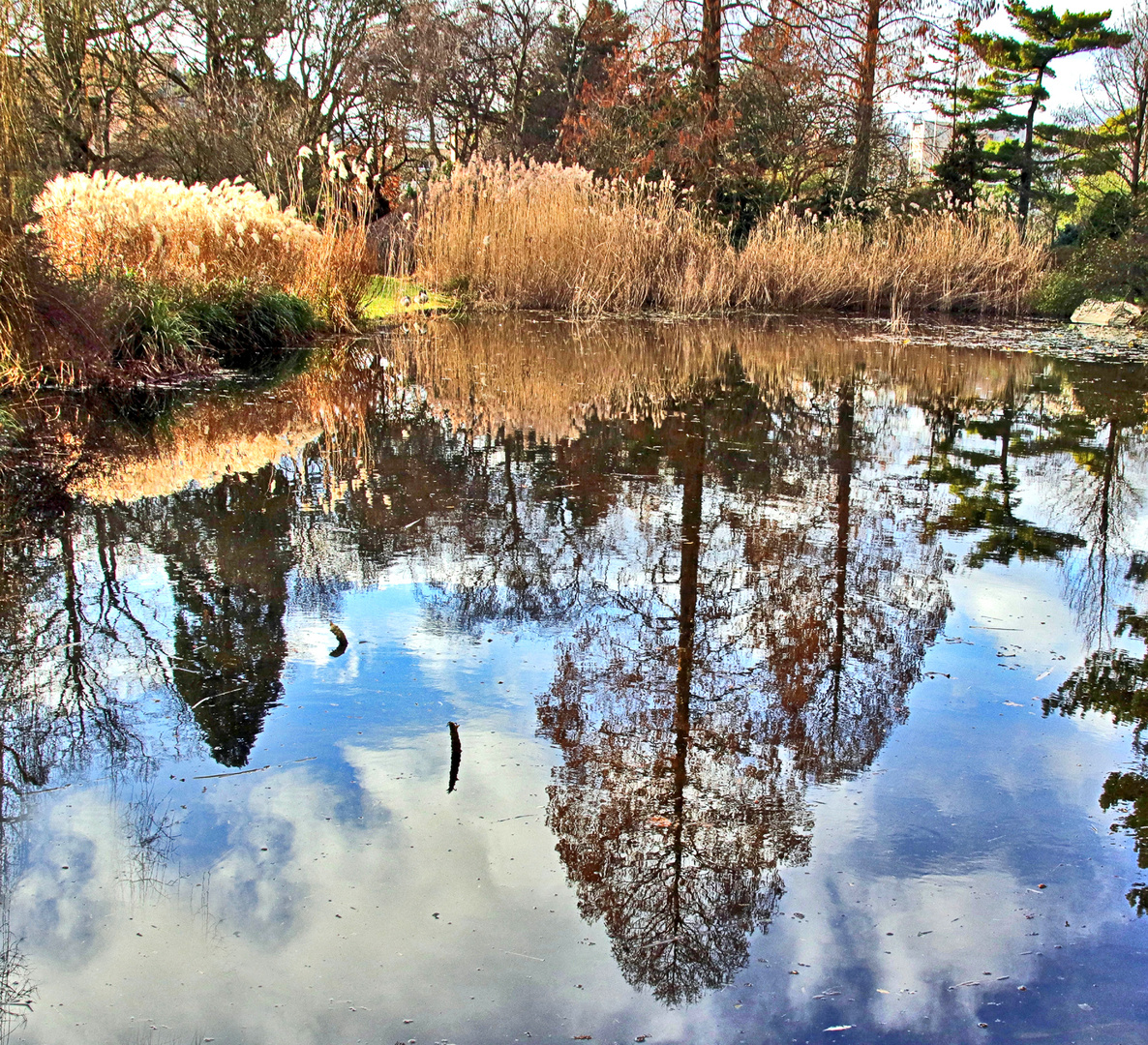 Dienstag ist Spiegeltag.....