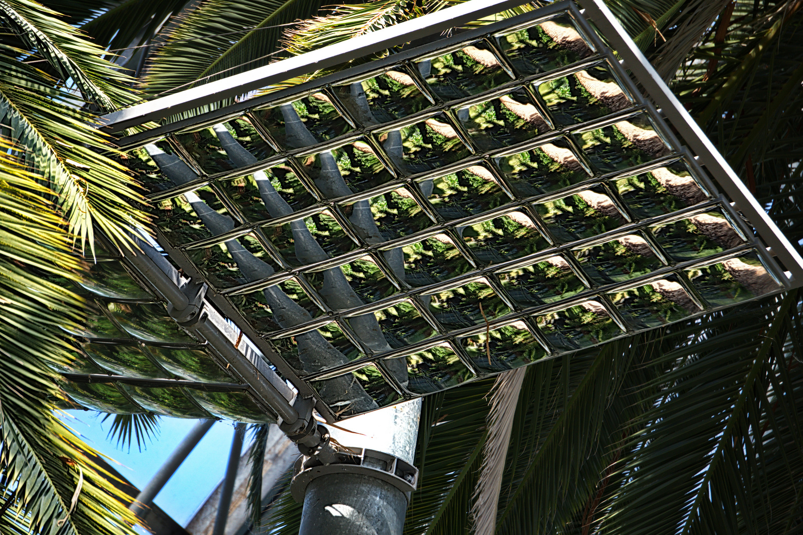 Dienstag ist Spiegeltag - Gekachelte Spiegelinstallation im Palmenhaus auf der Insel Mainau