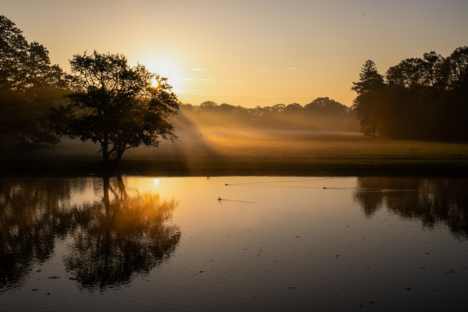 Dienstag ist Spiegeltag -  Guten Morgen Herbst