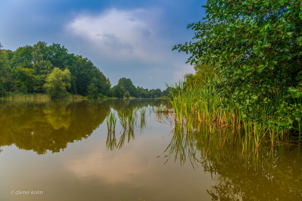 Dienstag ist Spiegeltag - Heidesee in Müden