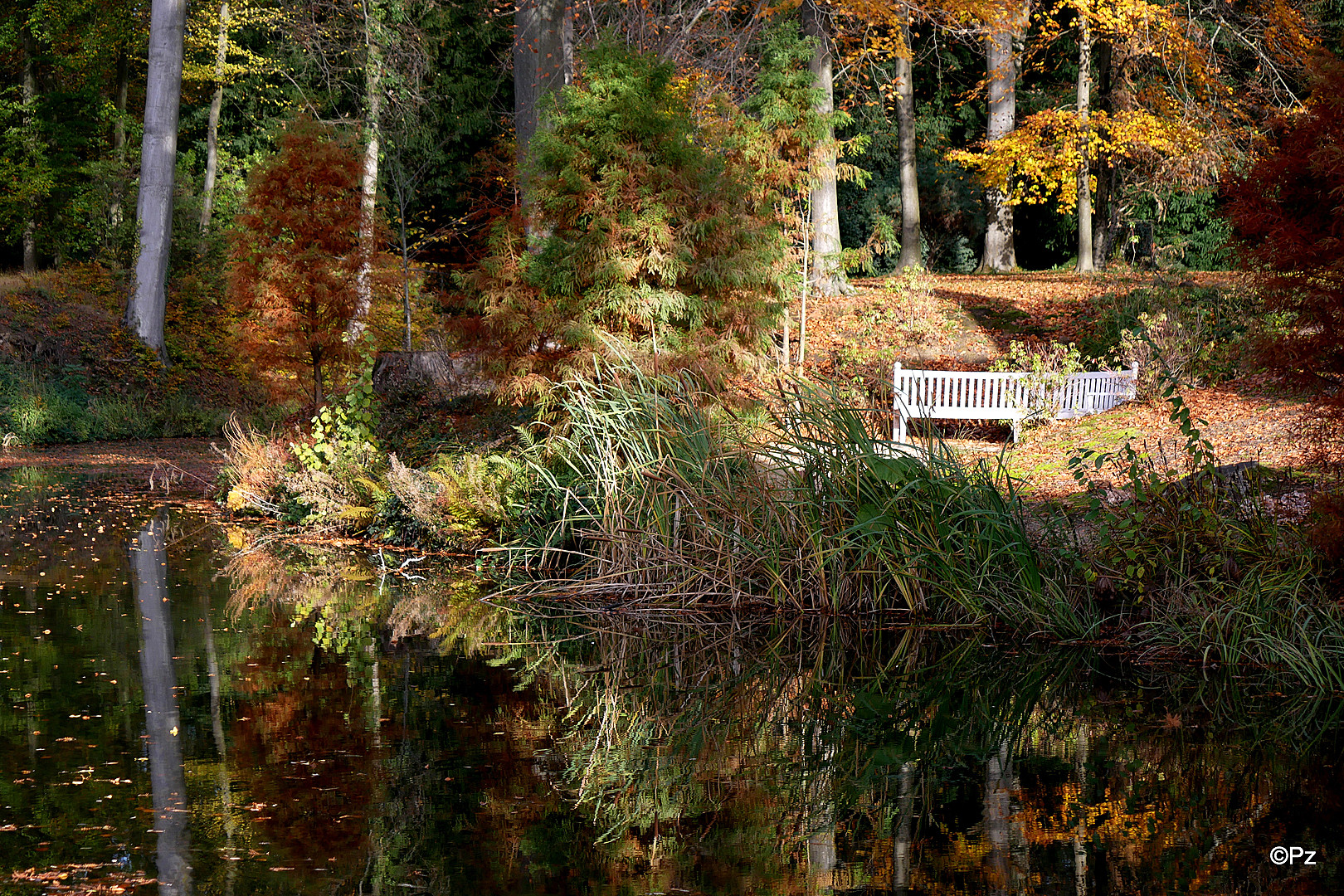 Dienstag ist Spiegeltag: Herbst-Impressionen ...