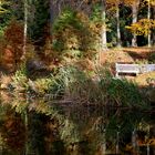 Dienstag ist Spiegeltag: Herbst-Impressionen ...