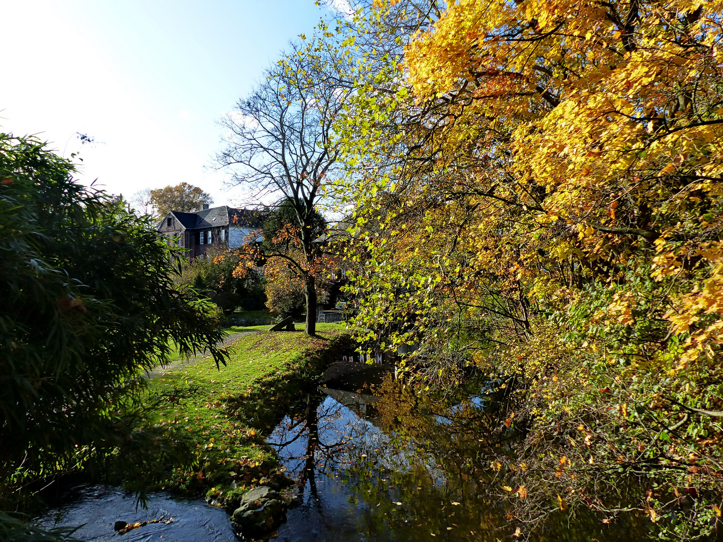 Dienstag ist Spiegeltag        Herbst in Brüggen